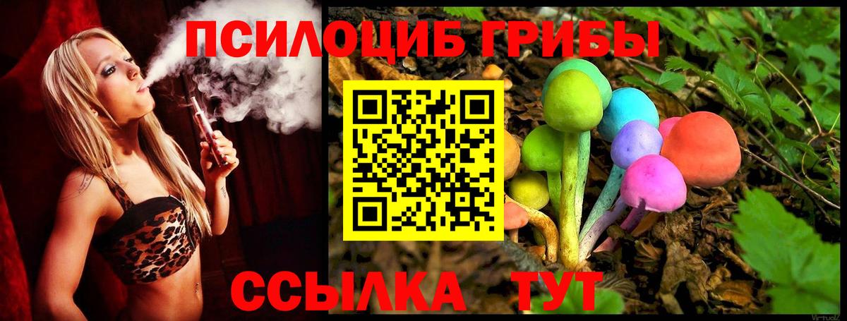 Богданович  Галлюциногенные грибы Psilocybe  Вход с VPN  Псилоцибиновые грибы ЛСД 
